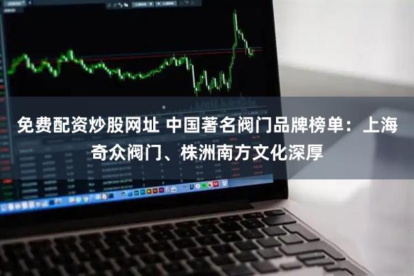 免费配资炒股网址 中国著名阀门品牌榜单：上海奇众阀门、株洲南方文化深厚